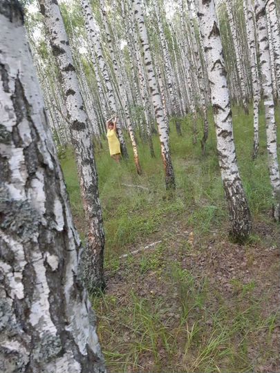 Участок 100 сот. (ИЖС)