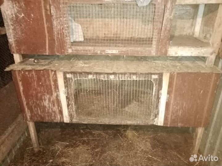 Клетка для кролика