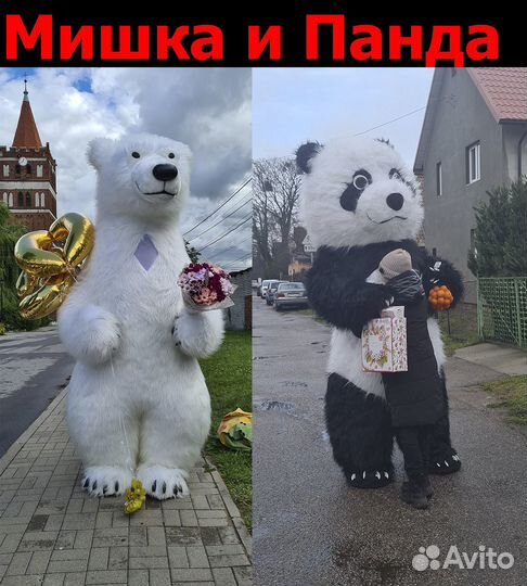 Поздравление от Белого Мишки. Медведь аниматор