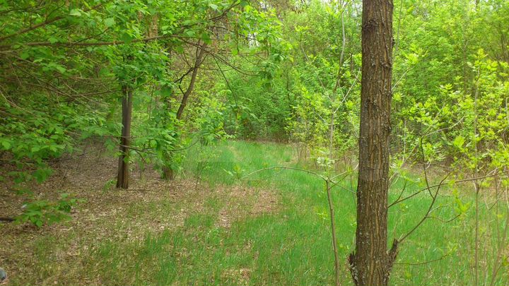 Участок 8 сот. (СНТ, ДНП)