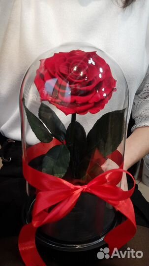 Роза в колбе