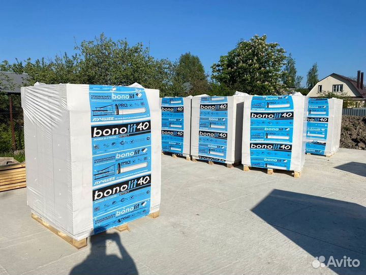 Газосиликатный Блок 600 250