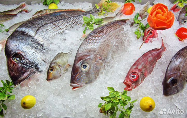 Рыбный магазин – готовый бизнес с базой