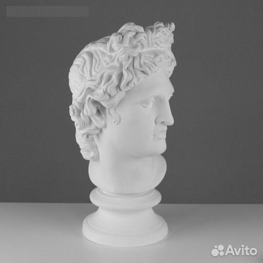 Гипсовая фигура Голова Аполлона Бельведерского, 25