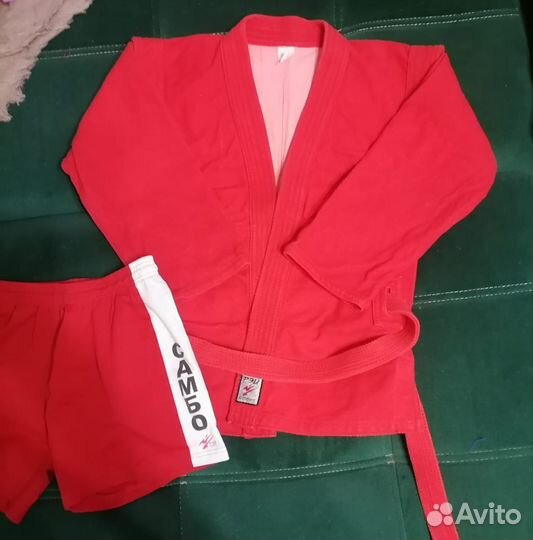 Кудо,боевое самбо,дзюдо, каратэ,тэквандо