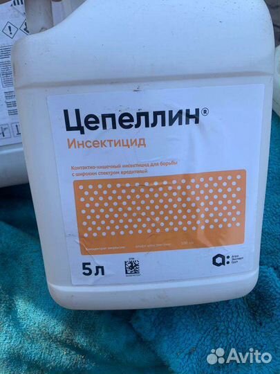 Гербициды на пшеницу