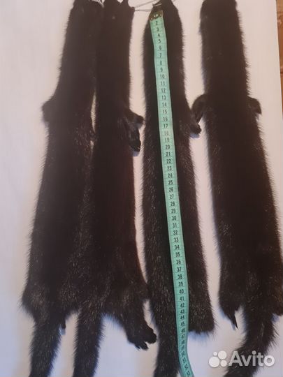 Шкурки меха норки