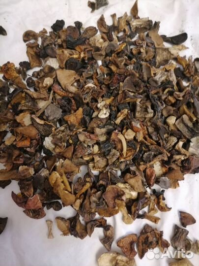 Сушеные грибы