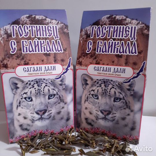 Сагаан-Дали