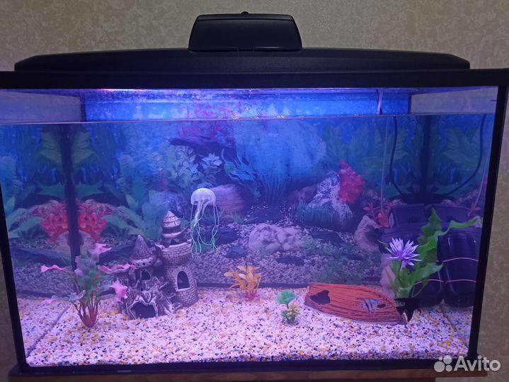Аквариум с аксессуарами