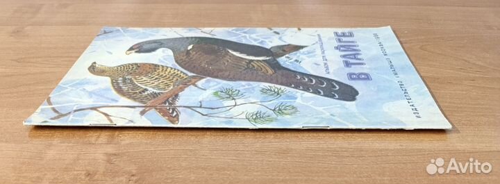 Книга детская В тайге 1988