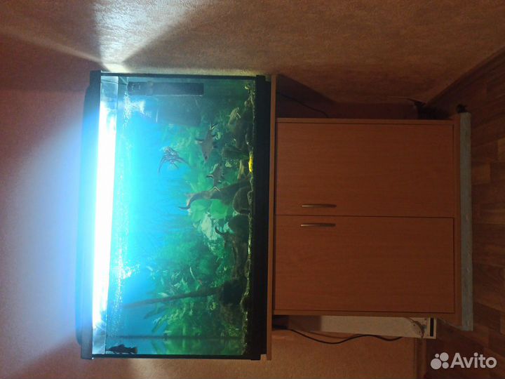 Аквариум