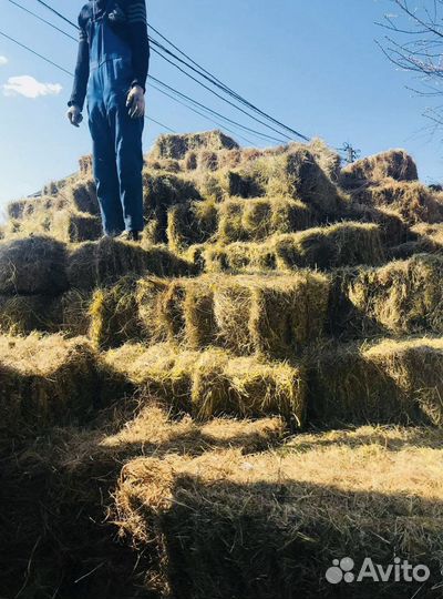 Сено и Стружка в тюках