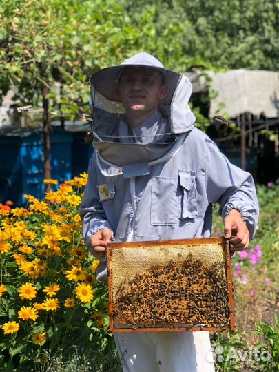 Настоящий мёд со своей пасеки