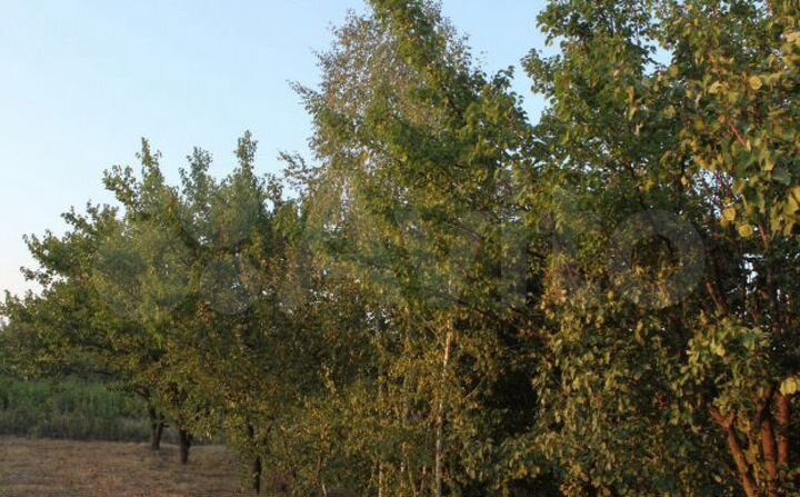 Дом 310 м² на участке 32 сот.