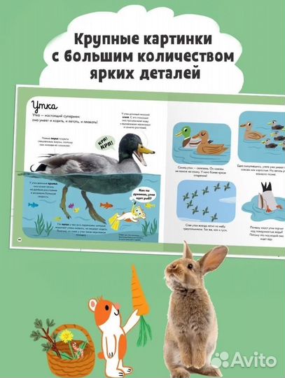 Детские книги Clever пакетом