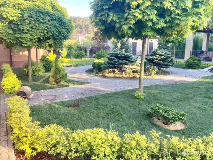 Рулонный газон 