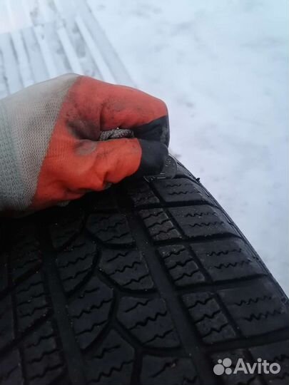 Tigar Winter 195/65 R15