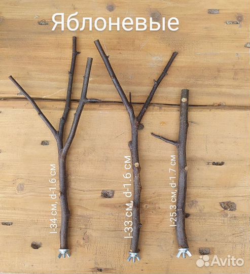 Жердочки, присада для птиц