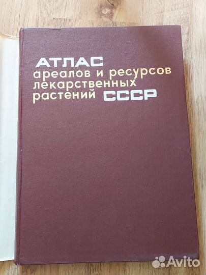 Атлас и Русская Живопись