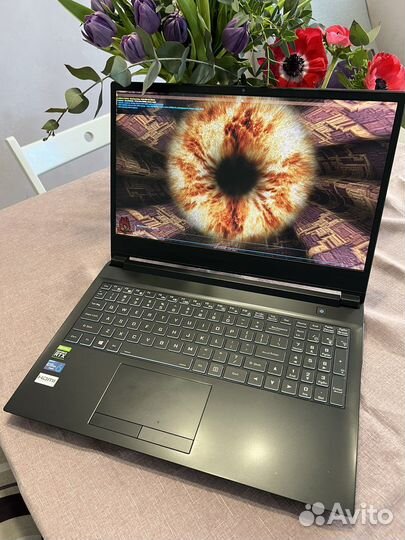 Игровой ноутбук i5 10200h, rtx 3060