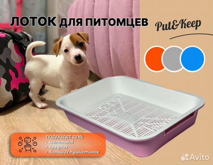 Кошачий лоток