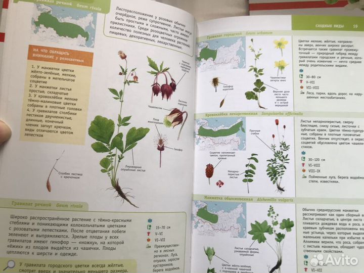 Минералы России.книга