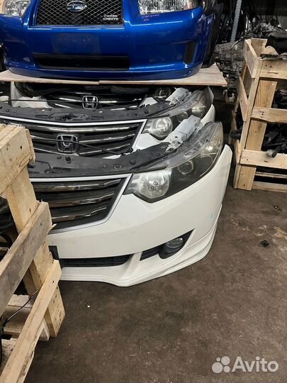 Хонда accord 8 ноускат