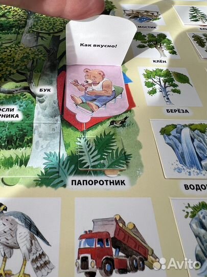 Книги с окошками