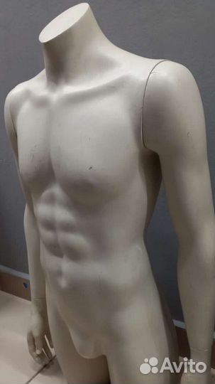 Торсы пластиковые