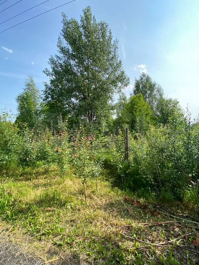 Дача 40 м² на участке 22,7 сот.