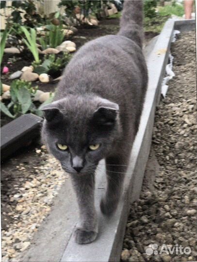 Тротуарная плитка новая от 120 м2