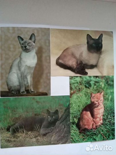 Открытки СССР чистые