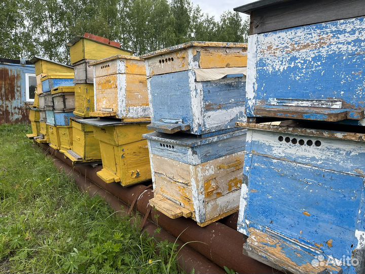 Улей для пчел
