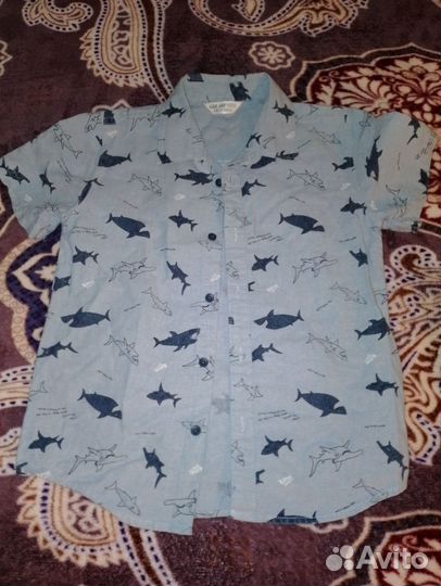 Рубашка + шорты на мальчика