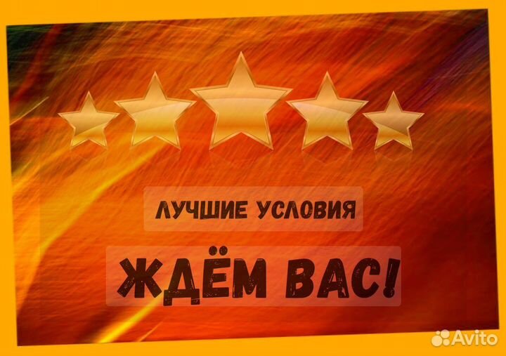 Наборщик заказов Без опыта Еженедельные выплаты