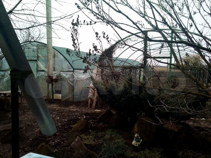 Дом 74 м² на участке 50 сот.