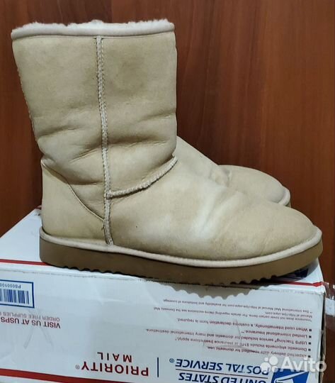 Ugg мужские 44
