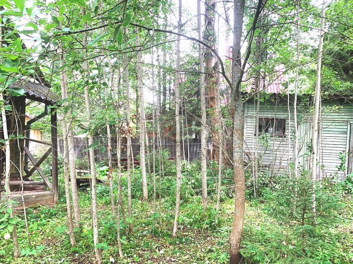 Дача 45 м² на участке 6,7 сот.