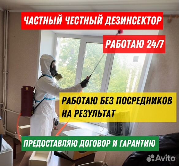 Уничтожение клопов тараканов плесени запахов