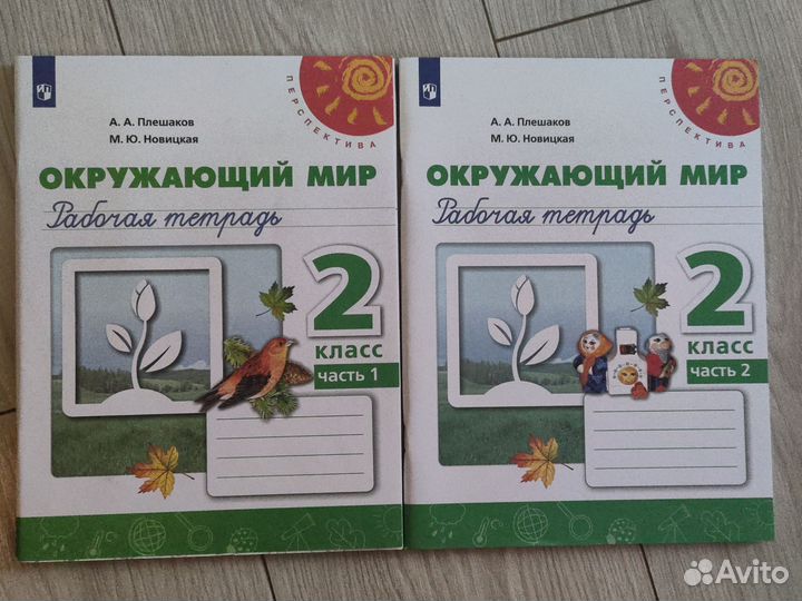Рабочие тетради окружающий мир 2кл