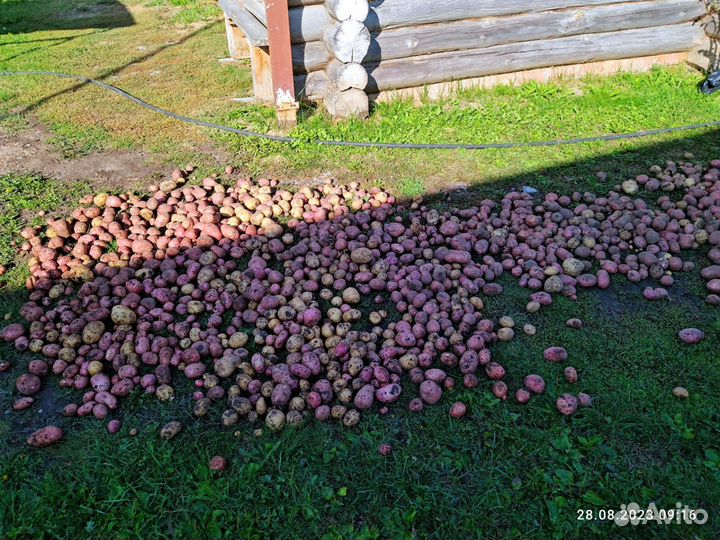 Продам косилку, и грабли