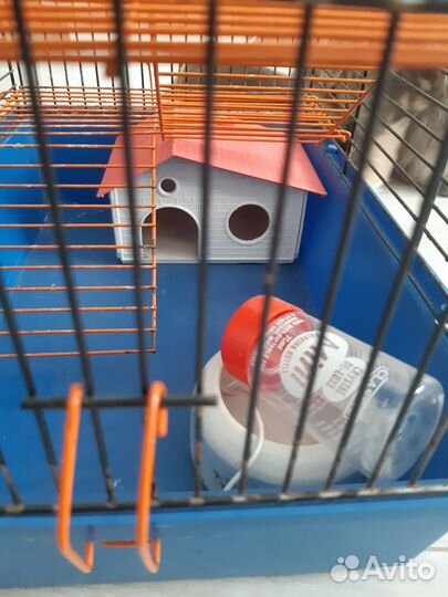Клетка для грызунов бу