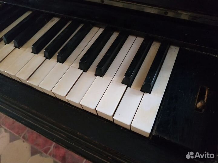 Музыкальные инструменты