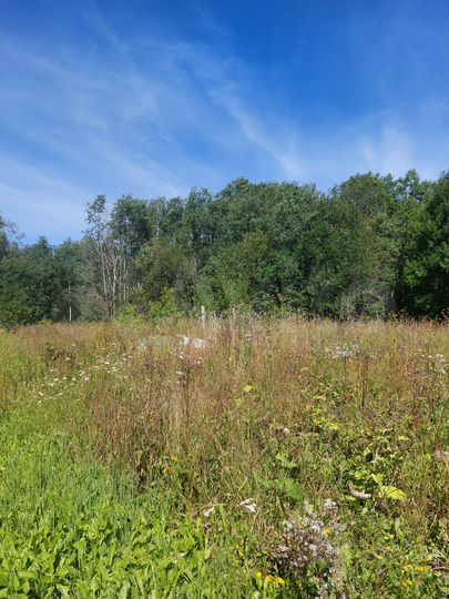 Участок 30 сот. (ИЖС)