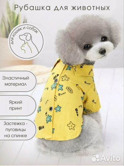 Одежда для маленьких собак