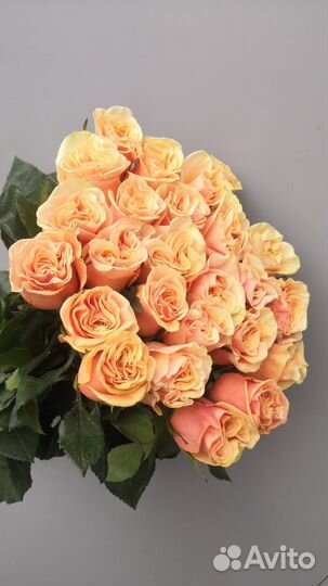 Свежие живые цветы в наличии опт и розница