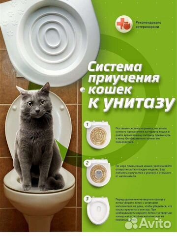 Лоток, приучение к туалету