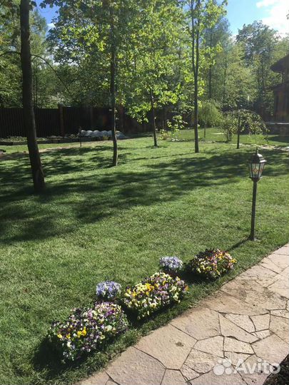 Укладка рулонного газона