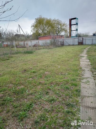 Покос травы триммером